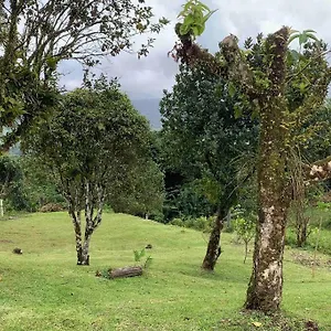 972b-coin De Verdure Au Pied De La Montagne Pelee Le Morne-Rouge